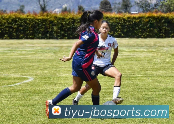 体育下注发展历程