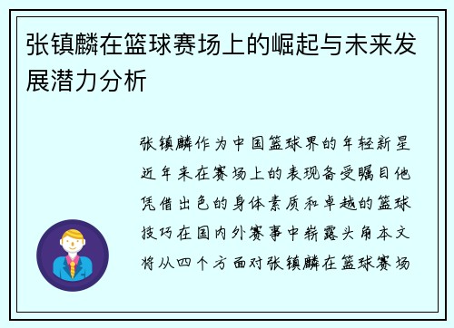 张镇麟在篮球赛场上的崛起与未来发展潜力分析
